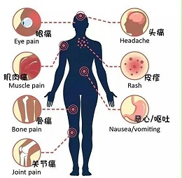 拜乐环境服务部技术部派出一行5人参加江苏省有害生物防制协会登革热防控技术培训