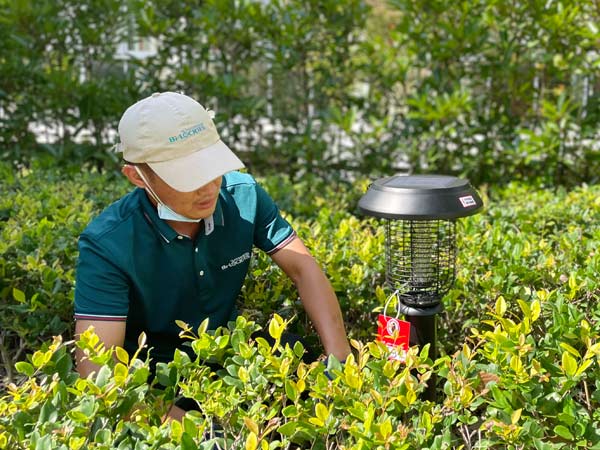 怎样有效除掉室外的苍蝇？